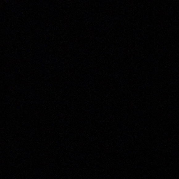 Meet your Posher, Sasha - Picture 1 of 1